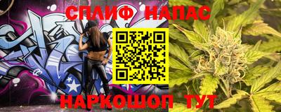 СК Новозыбков