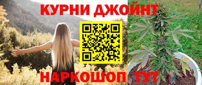 СК Новозыбков