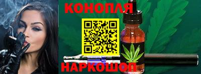 шишки Новокубанск