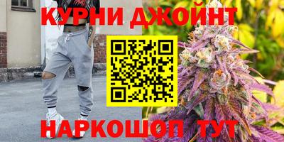 шишки Новокубанск