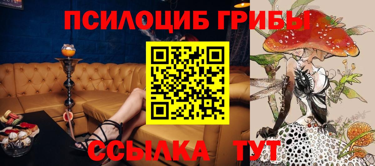 Галлюциногенные грибы GOLDEN TEACHER  Вход с VPN  Тайшет 
